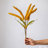 Millet Arrangement-977225317-977225322