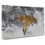 Fox In The Snow Vol.3 by Bruno Liljefors - Wrapped Canvas-61855319