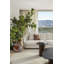 Curved Rugs