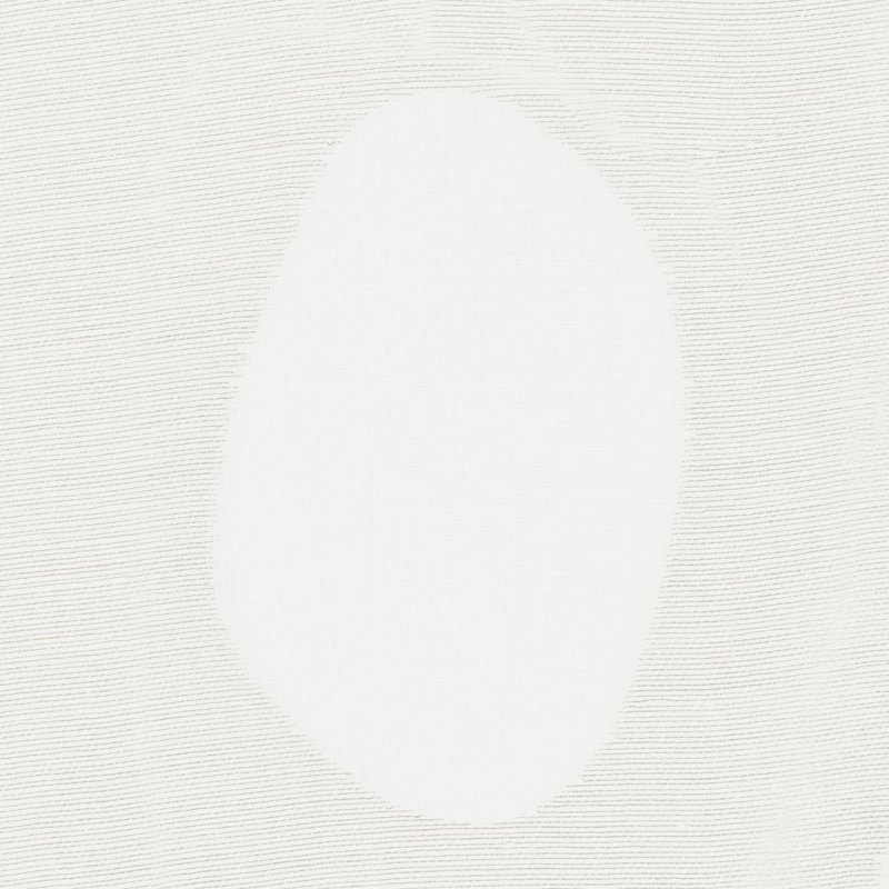 Tissu transparent Elaine, Blanc / Blanc