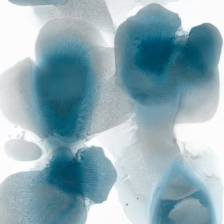 " Vital I " by Hannah Carlson, 37" H x 37" W x 1.5" D