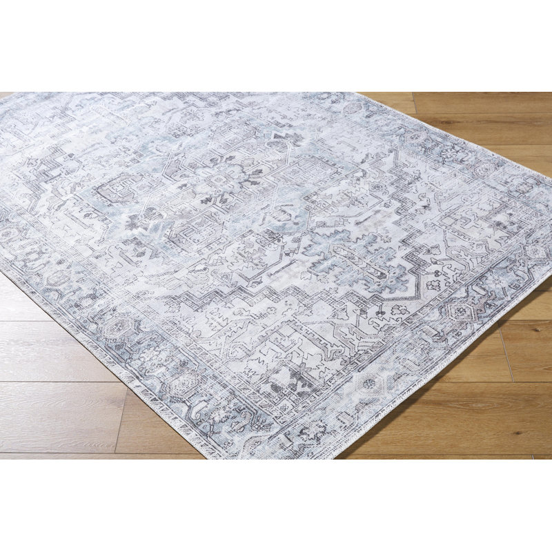 Hewet Oriental Indoor Rug, Rectangle 8'10" x 12'