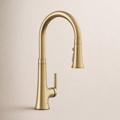 Tone Pull-Down Kitchen Faucet