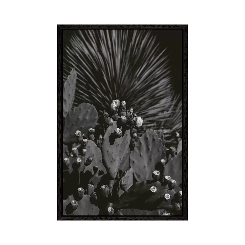 Monochrome Cactus by Bethany Young - Print on Canvas, 101.6cm H x 66.04cm W x 3.81cm D, Black Framed