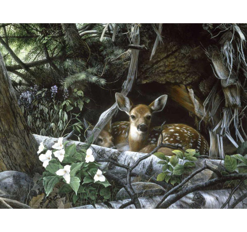 Red Barrel Studio® Daniel, Kevin Gallery Wrapped Canvas Art Titled: Undercover II