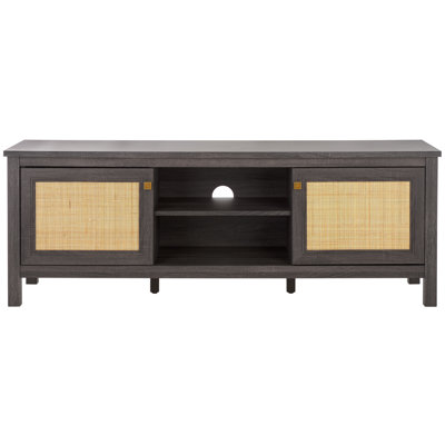 Alyosha 2 Door TV Stand by Bay Isle Home