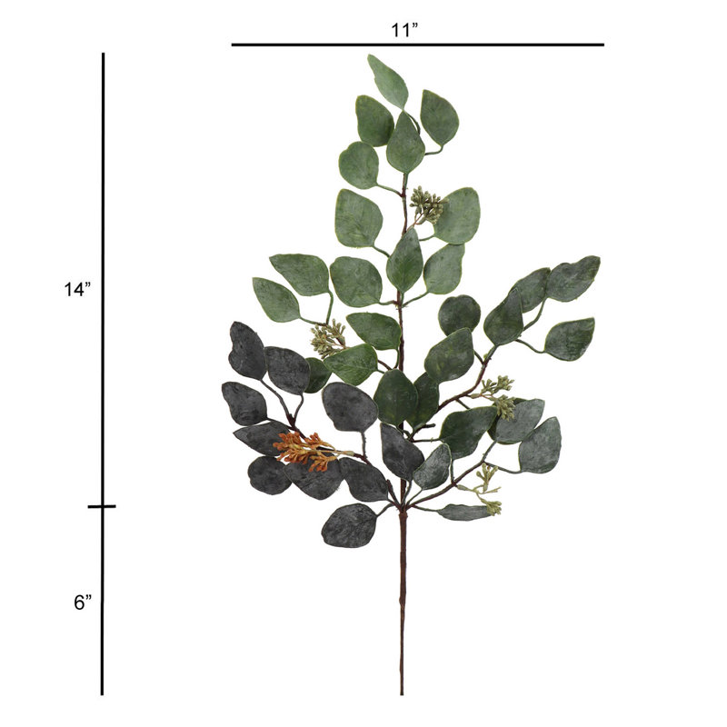 14 po de hauteur en fausse eucalyptus