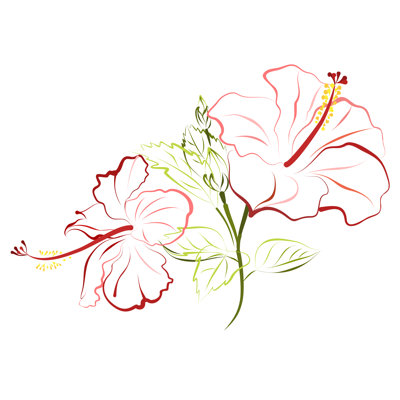 Wyola " Hibiscus Flower Illustration "