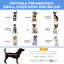 Lit pour chien Bulcsu