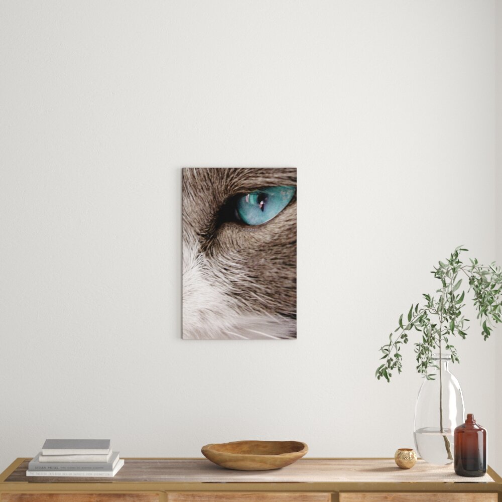 Leinwandbild Katze mit blauen Augen, Fotodruck