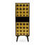 Sanjuana Solid Wood 2 - Door Rectangle Accent Cabinet