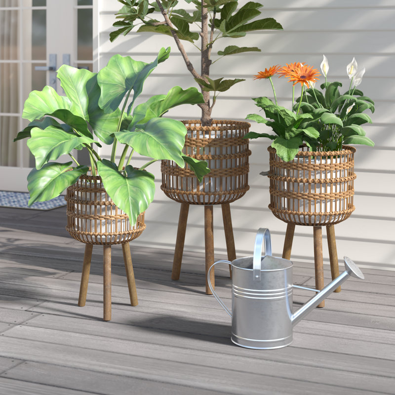 Neutral Boho Wicker Planter Stand Set, Versatile Indoor Garden Decor, 3 Piece, Black