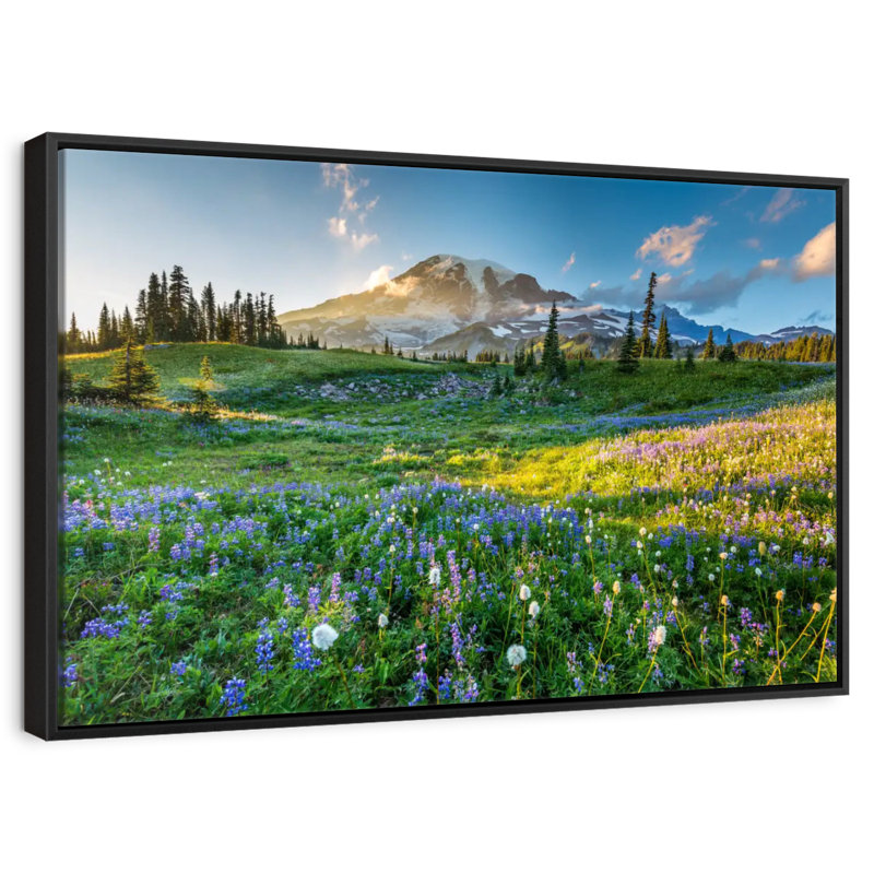Springtime At Mount Rainier, Floating Frame Black, 43" X 29"