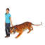 Tiger bengal