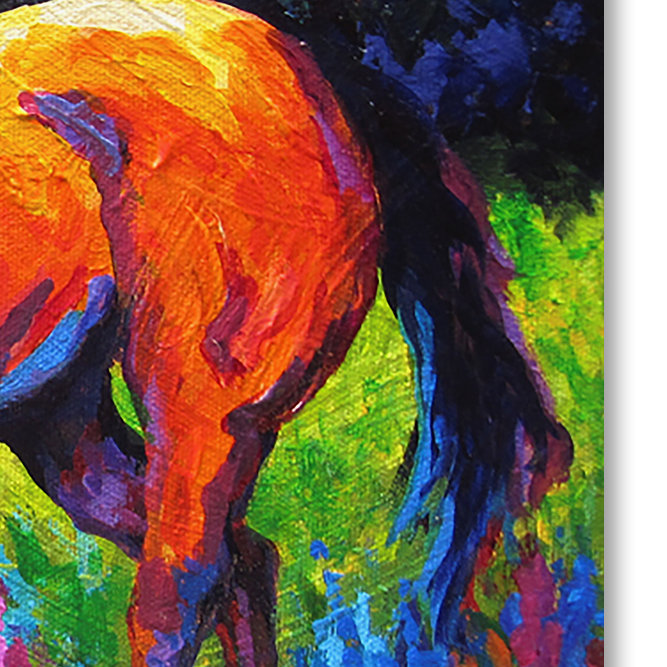 Kucera 'Mare II' Print on Wrapped Canvas, 24" H x 32" W