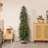 Adcock 6' Pine Tree