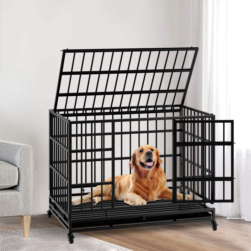 Cage pour chien de 48 pouces avec roulettes, entrée à seuil bas pour les chiens, métal indestructible à finition rouille sur double porte