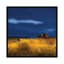« my house », reproduction d’art sur toile tendue-20813264-72654344-72657297