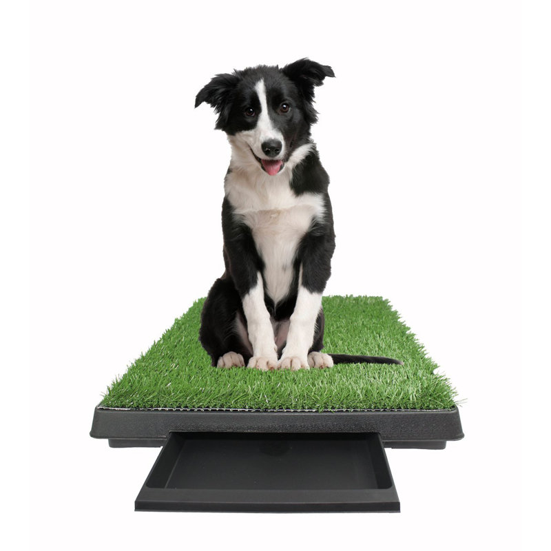Stanleytown Orthopedic Polyester Pet Bed