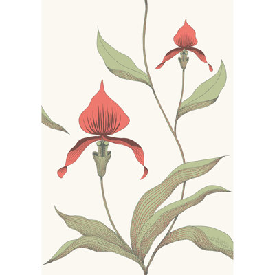 Orchid Floral Wallpaper Roll