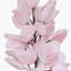 Foam Cherry Blossom Arrangement-271192053
