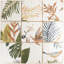 Angela Harris Harbour Sonata Décor 8" x 8" Ceramic Floor and Wall Tile