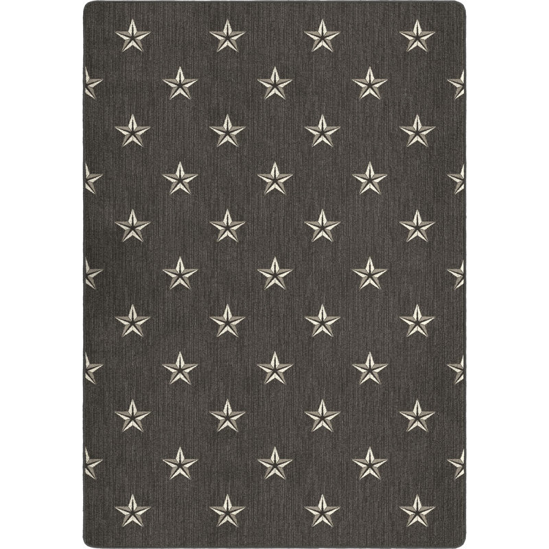 Étoile du Nord bronze à canon, Rectangle 3 pi 10 po x 5 pi 4 po