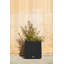 Block Series Cube Planter-86163303-86163299