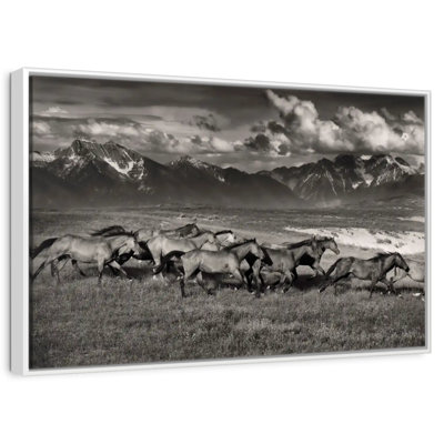 Mountain Range Mavericks