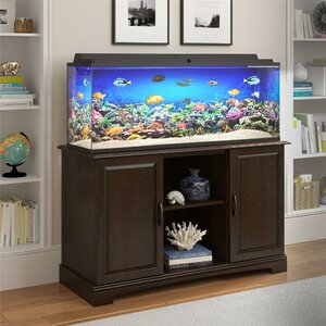 Archie & Oscar™ Deirdre Rectangle Aquarium Stand & Reviews | Wayfair