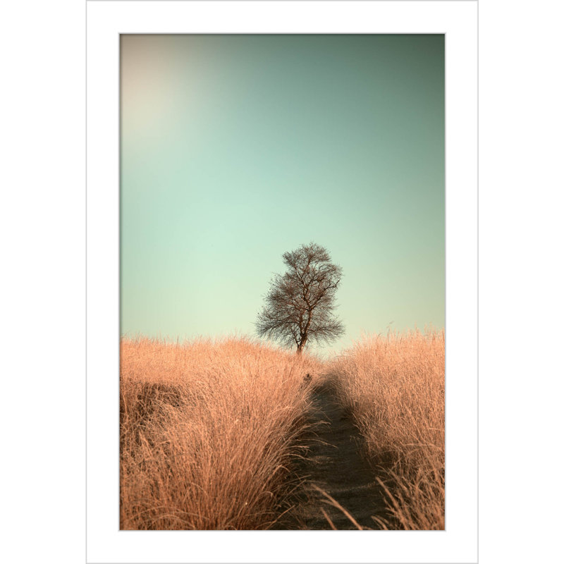 Grass And Path by Jaap Van Den, 9" W x 13" H, White