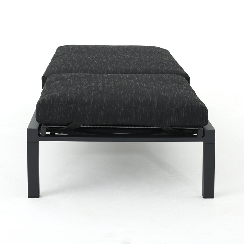 Altje Aluminum Reclining Chaise Lounge with Cushions