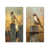 Toile tendue