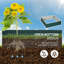 Galvanized Steel Garden Bed, 46.62" X 11.55", For Growing Veggies - , , Easy Setup