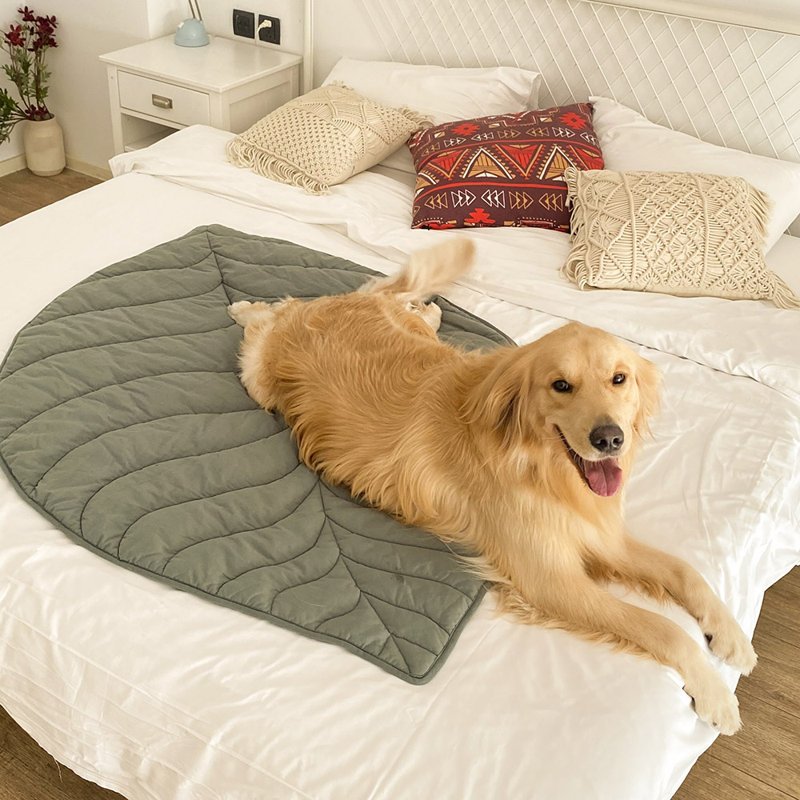  Leaf Shape Pet Blanket, Elm Green
