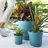  Saturn 10.75 in. H X 12.25 in. W Plastic Traditional Planter Bermuda Teal-1994090650