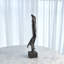 Iron Driftwood Sculpture-Med