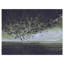 «Attack of Crows», impression sur toile tendue-29489498