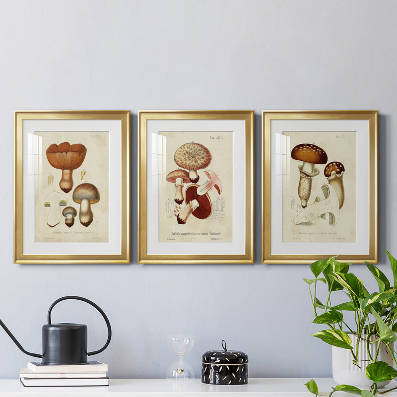 «Mushroom Variétés I», reproduction encadrée de qualité supérieure - prête à être accrochée, H 30,5 po x l 67,5 po x P 1 po