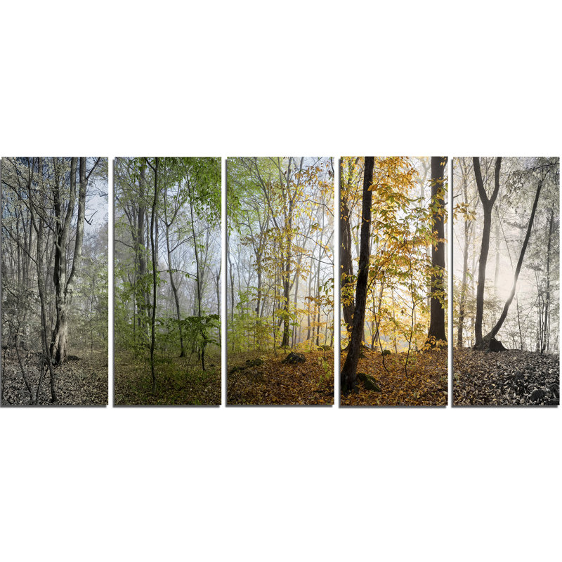 Ensemble de 5 toiles tendues, ensemble de 5 reproductions d’art sur toile tendue matinée forest