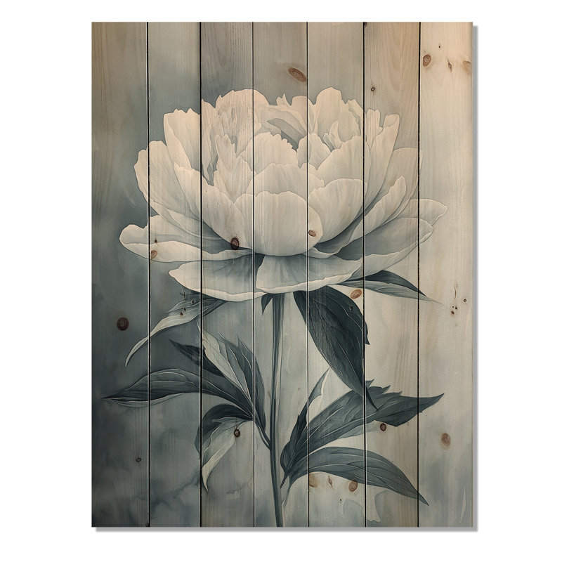 Minimalism Shadowed Peonies Flowers III - Peonies Wood Print - On Natural Pine Wood, 20" H x 10" W x 0.78" D