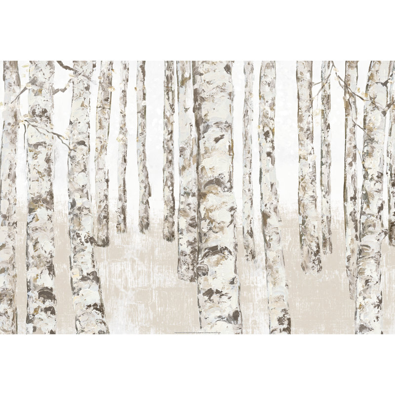 Neutral And Natural White Birches 2 - Wrapped Canvas Art Prints, 30cm H x 46cm W x 3.8cm D