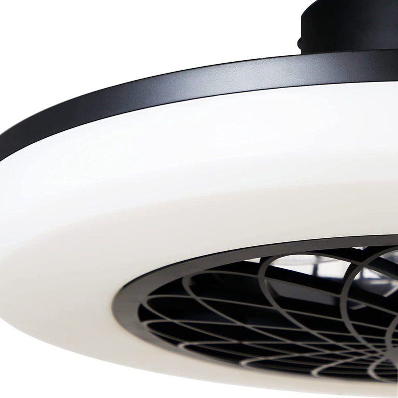 Lamprecht Ceiling Fan with LED Lights