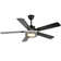 Ehrin 51.96'' Ceiling Fan with LED Lights