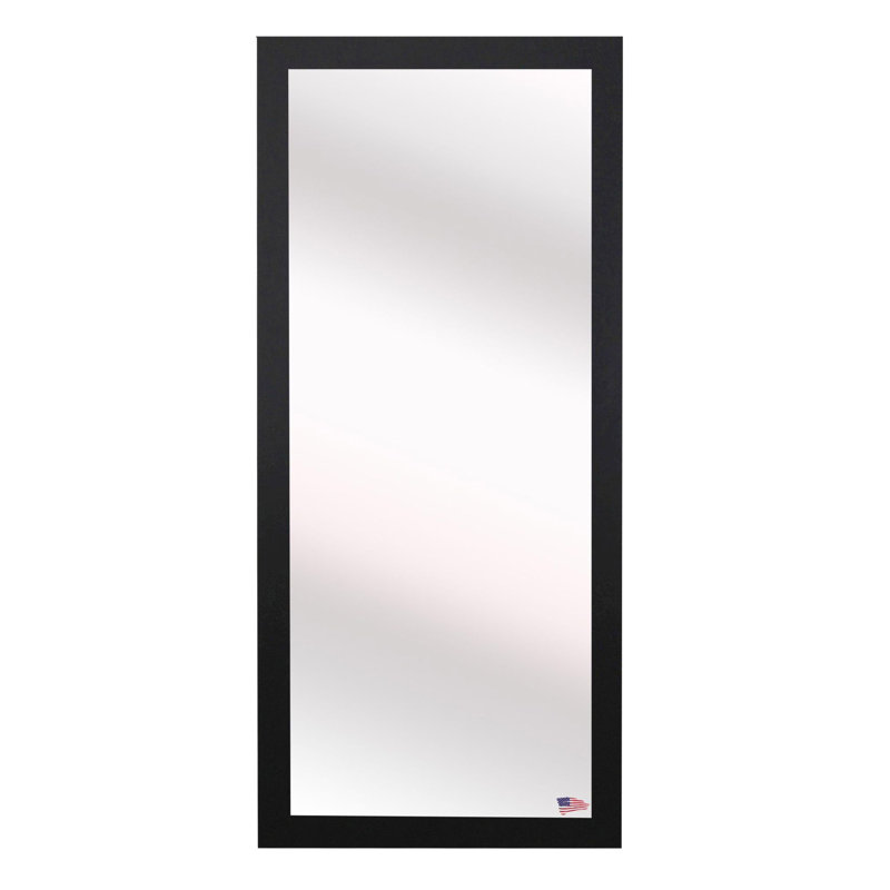Miroir mural Sandersville, 59 po x 20 po