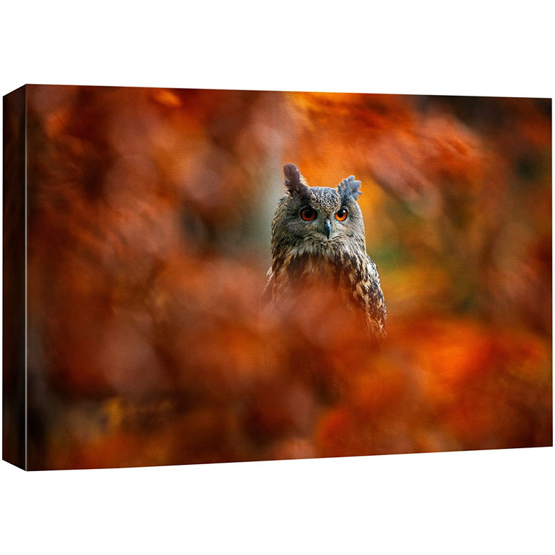 Grand-duc d'Amérique, arbre d'automne, nature sauvage - photographie, L 48 po x H 32 po, Toile tendue