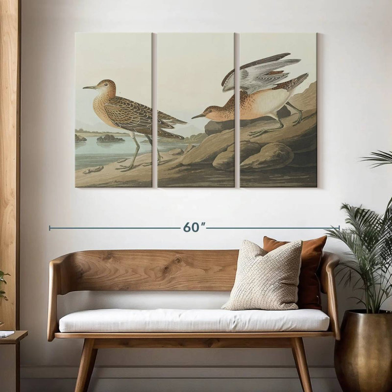 Brampt Buff Breasted Sandpiper, 32" H x 50" W