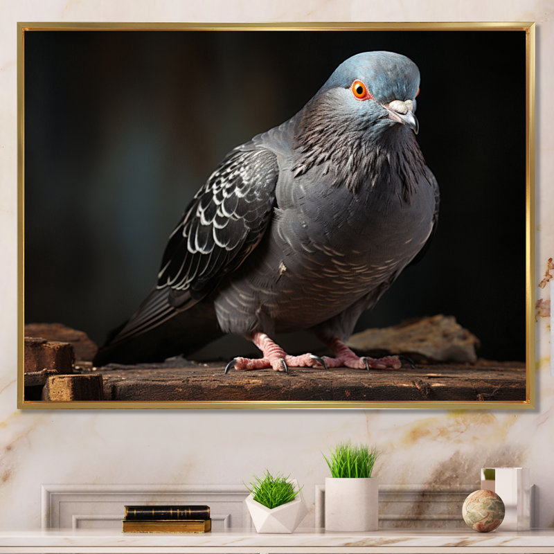 Portrait de colombe grise I - reproduction sur toile, Cadre flottant doré, H 12 po x l 20 po x P 1 po