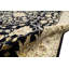 Dharma Hand Knotted Oriental Area Rug