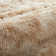 Allesha Standard Shag Area Rug